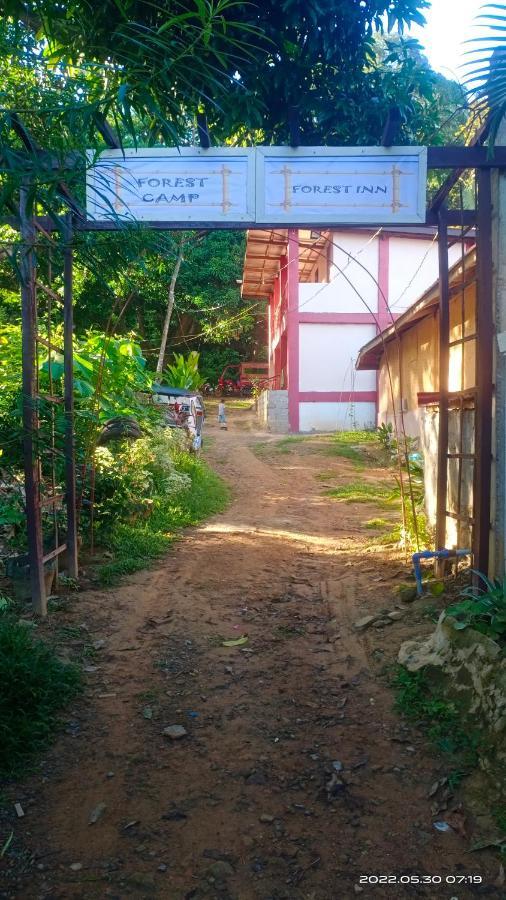 Forest Inn El Nido Luaran gambar