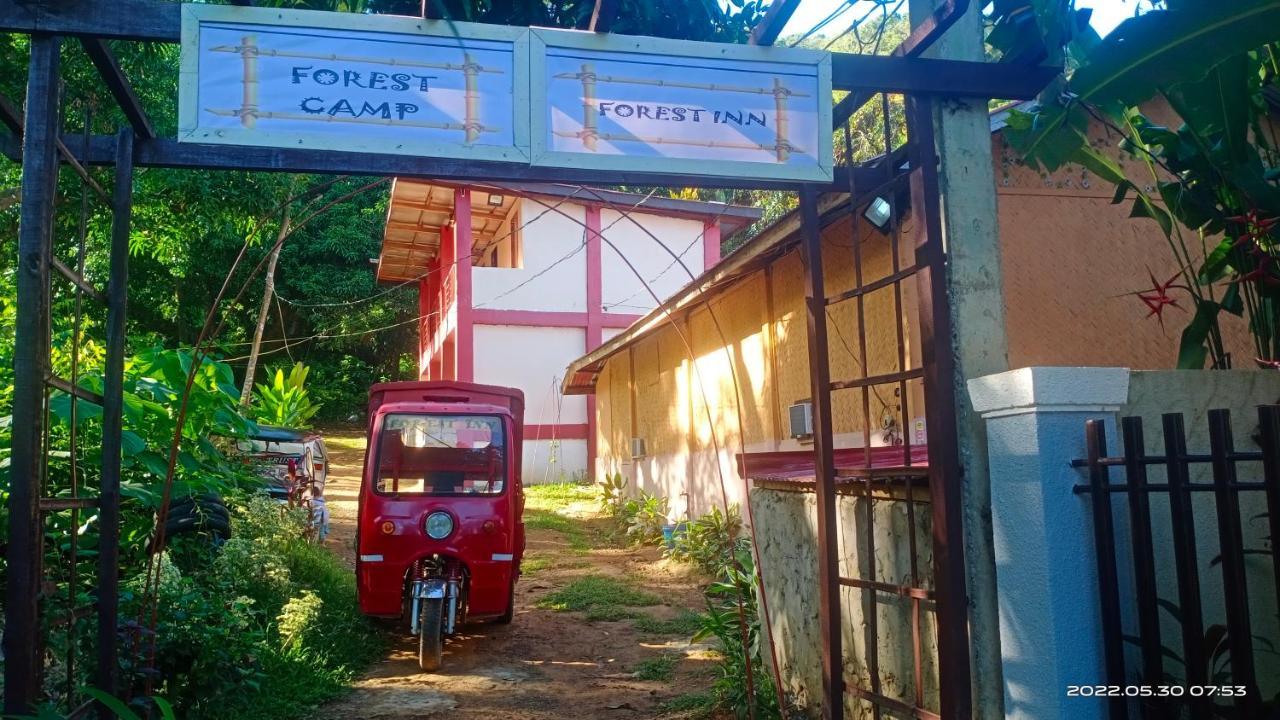 Forest Inn El Nido Luaran gambar